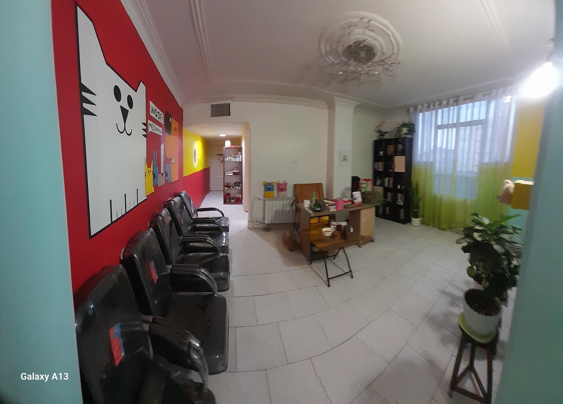 عکس سالن اصلاح حیوانات خانگی نیچه