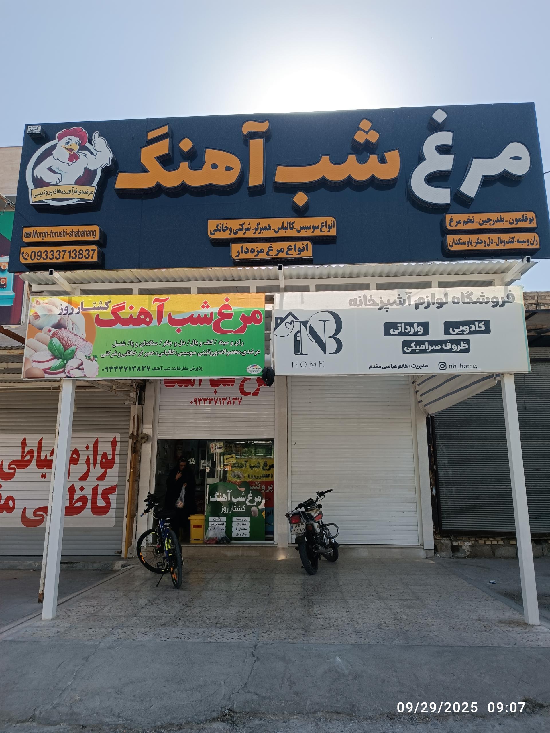 عکس مرغ شباهنگ