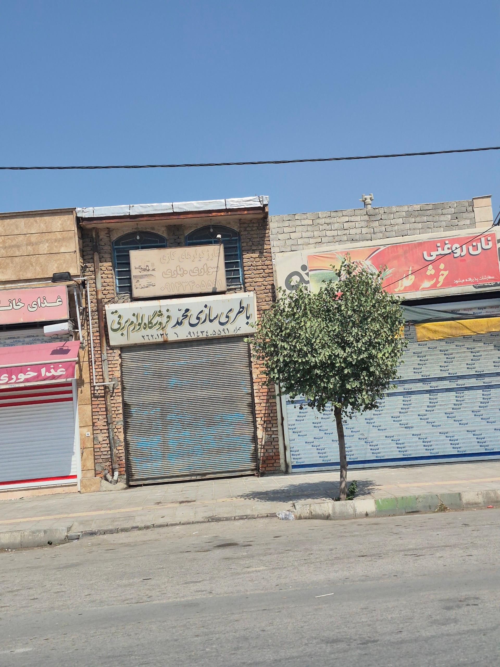 عکس نان روغنی خوشه طلا 