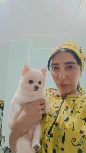عکس سالن اصلاح حیوانات خانگی نیچه