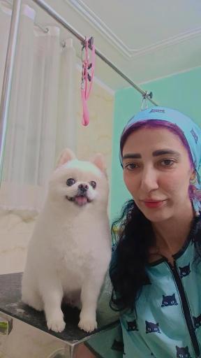 عکس سالن اصلاح حیوانات خانگی نیچه