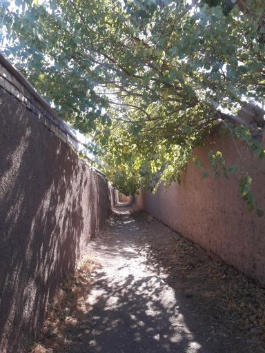 عکس پارک شیخ زین العابدین