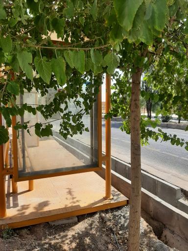 عکس دانشگاه پیام نور