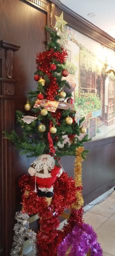 عکس هتل اریکا