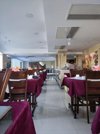 عکس هتل اریکا