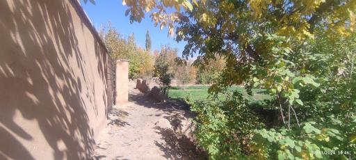 عکس پارک شیخ زین العابدین