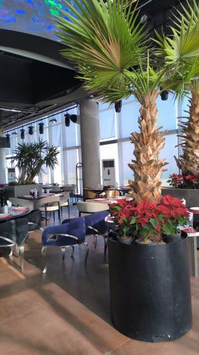 عکس رستوران مرسی پدیده شاندیز