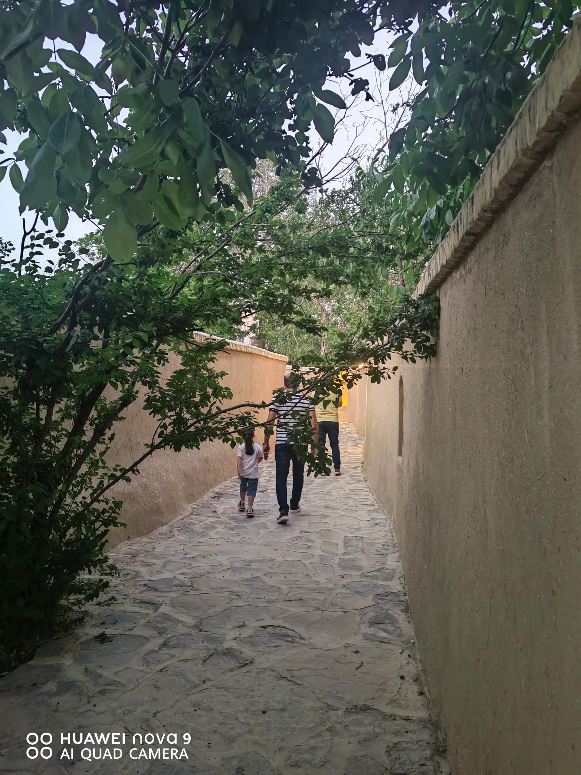 عکس پارک شیخ زین العابدین