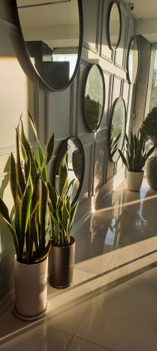 عکس باربیکیو چوچاق