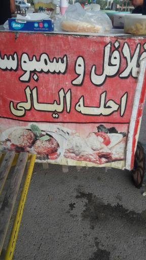 عکس فلافل احله الیالی