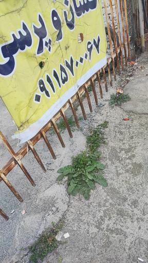 عکس گاز مایع