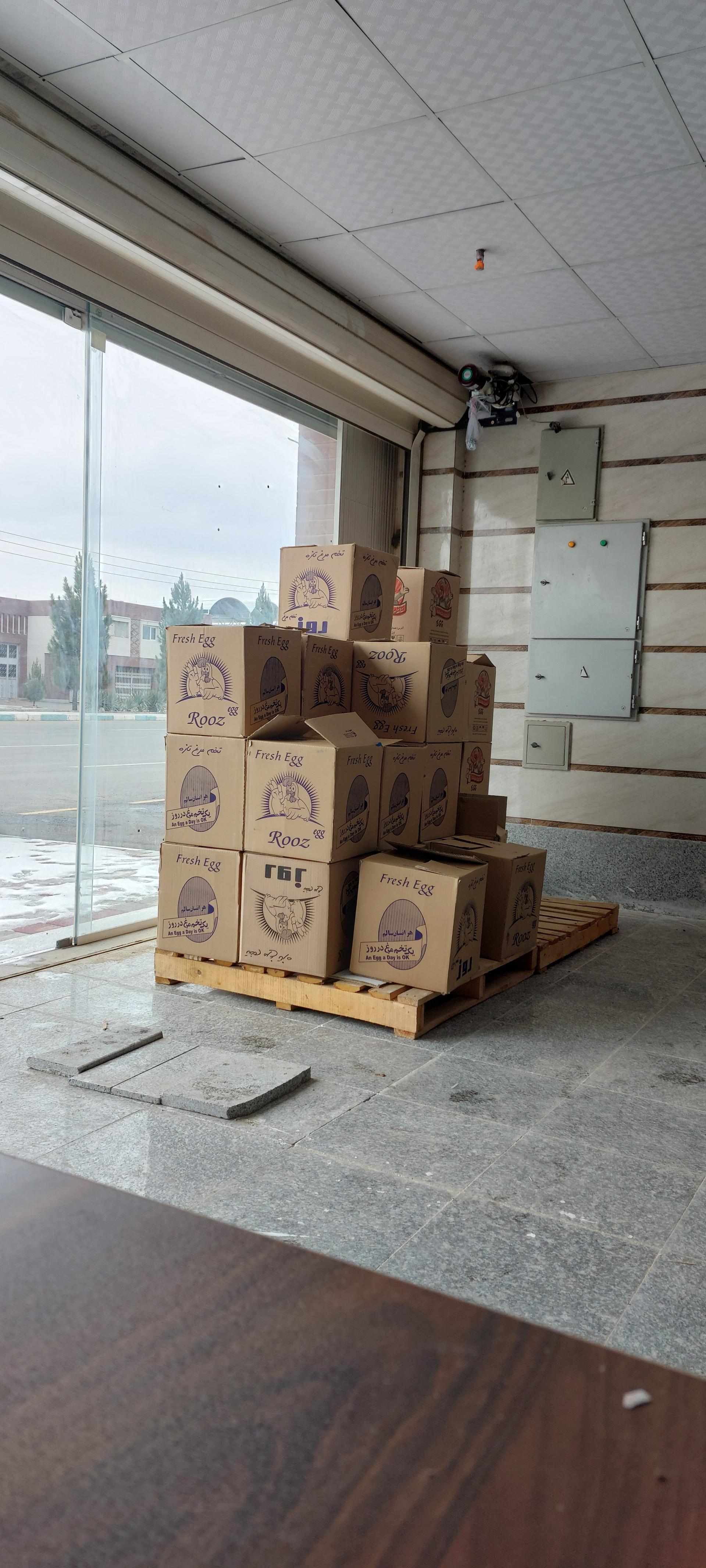 عکس عرضه و پخش تخم مرغ