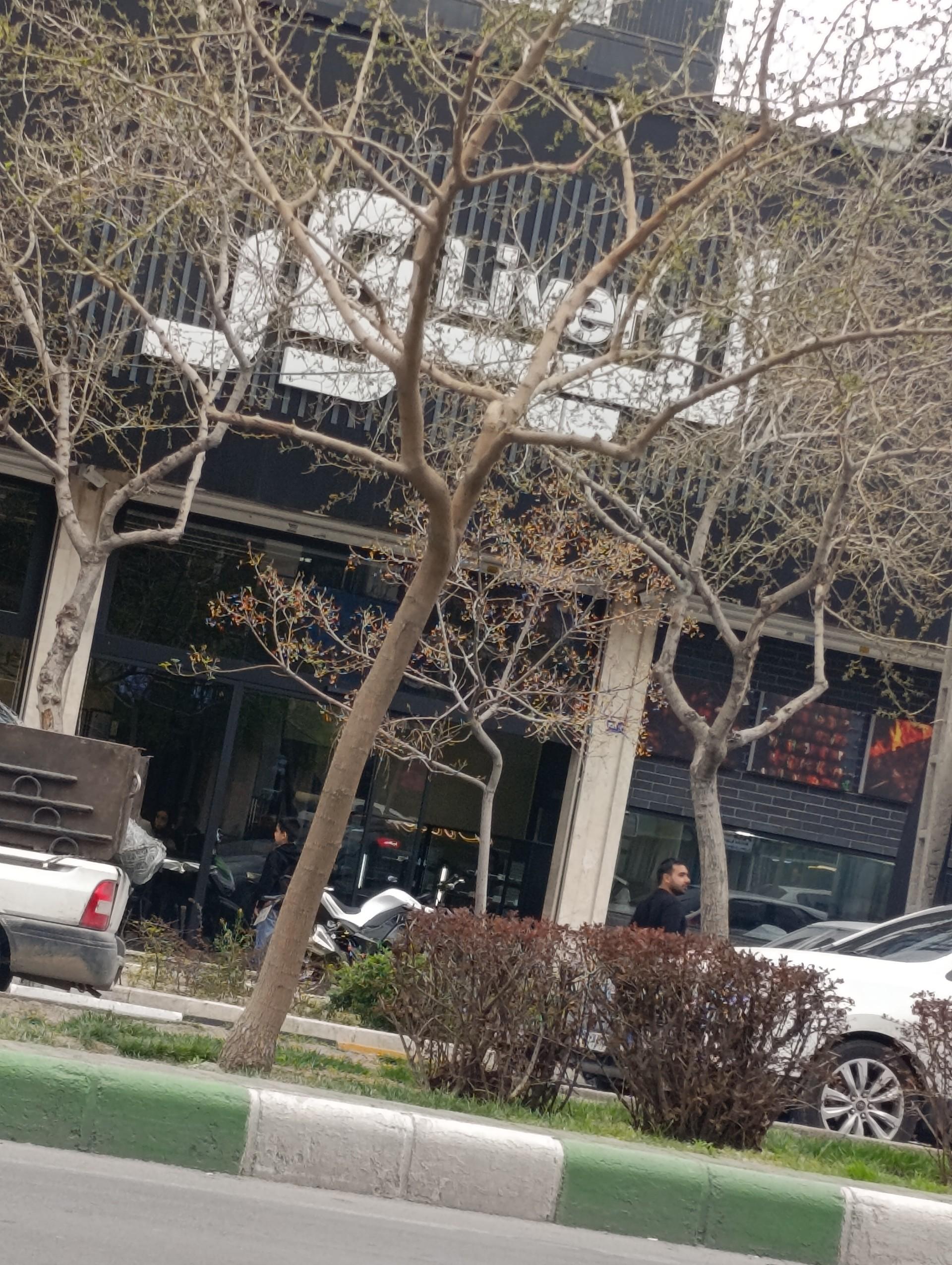 عکس لیور جگر و کباب