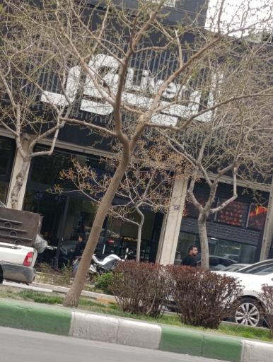 عکس لیور جگر و کباب