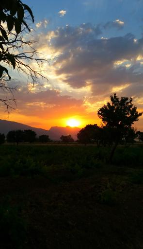عکس اراک