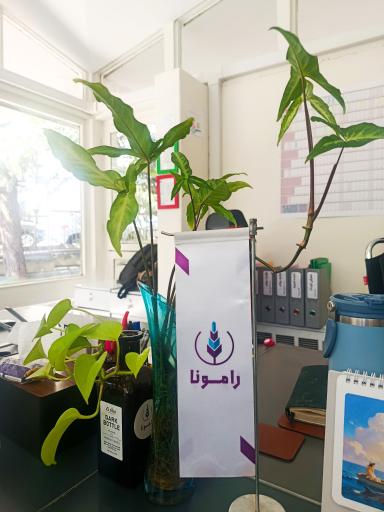عکس رامونا دفتر شوق زندگی