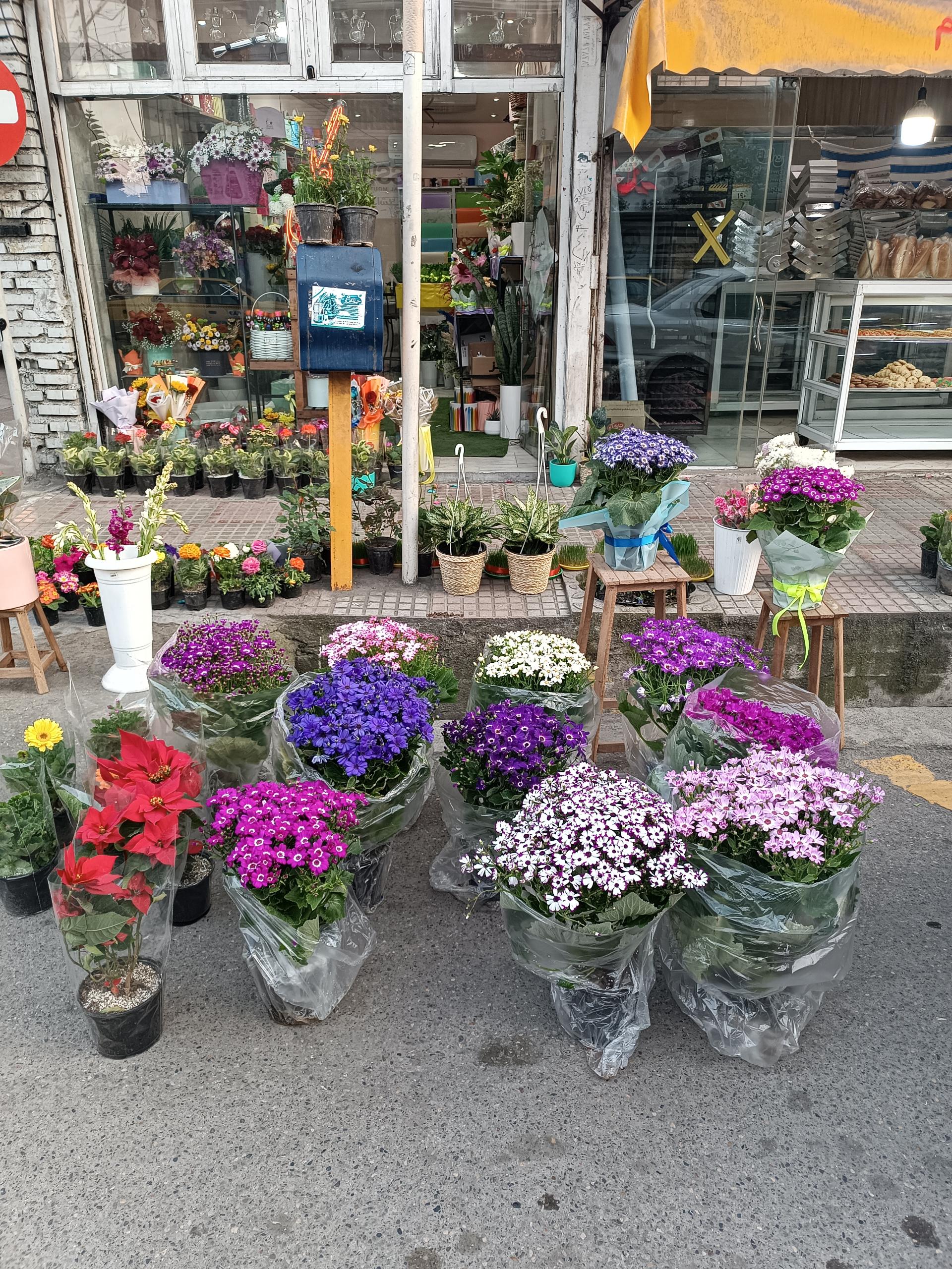 عکس گلفروشی خاطره 