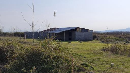 عکس جزیره ارشیا چمخاله