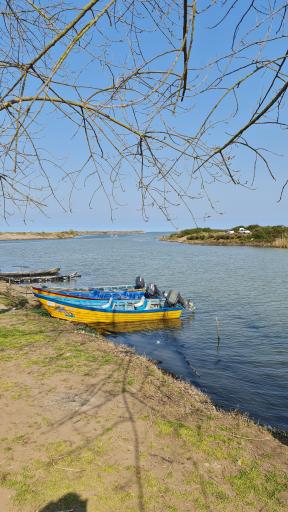 عکس جزیره ارشیا چمخاله