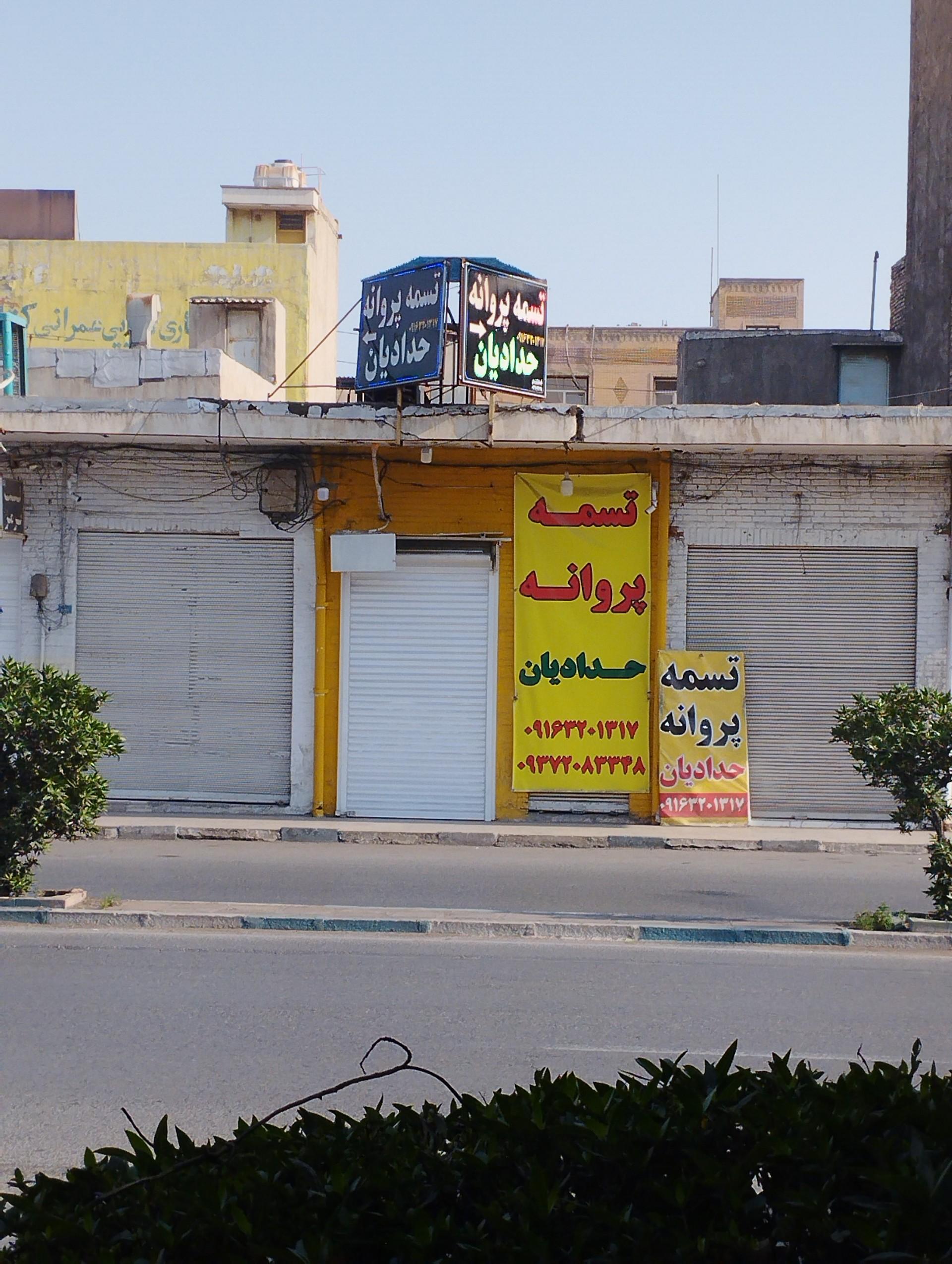 عکس تسمه پروانه حدادیان