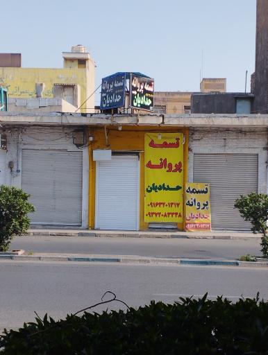 عکس تسمه پروانه