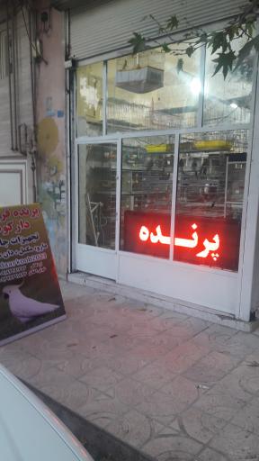 عکس تجهیزات و لوازم جانبی پرندگان زینتی دارکوب