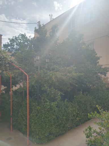 عکس آپارتمان ترنج