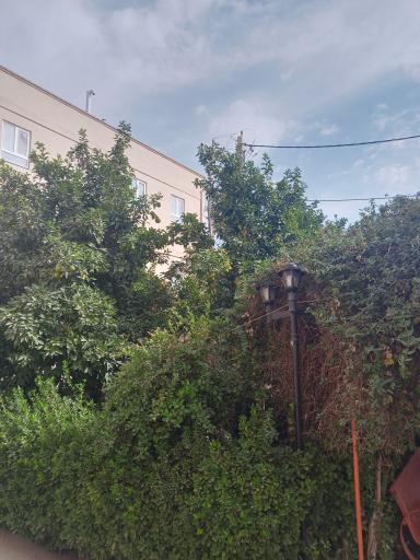 عکس آپارتمان ترنج