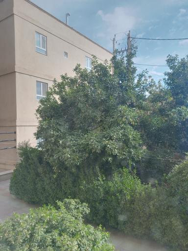 عکس آپارتمان ترنج