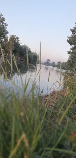 عکس زرین شهر