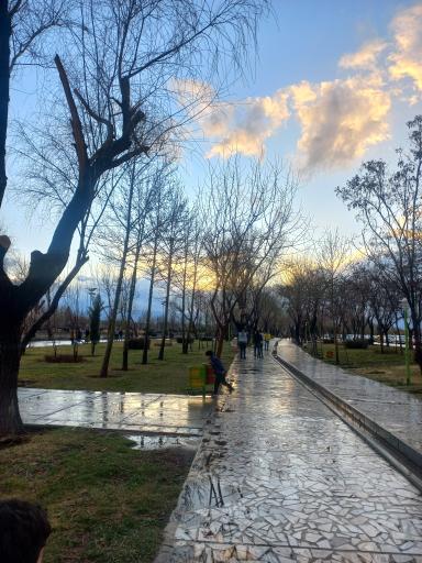 عکس زرین شهر