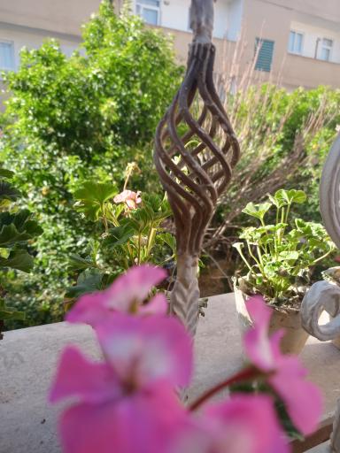 عکس آپارتمان ترنج