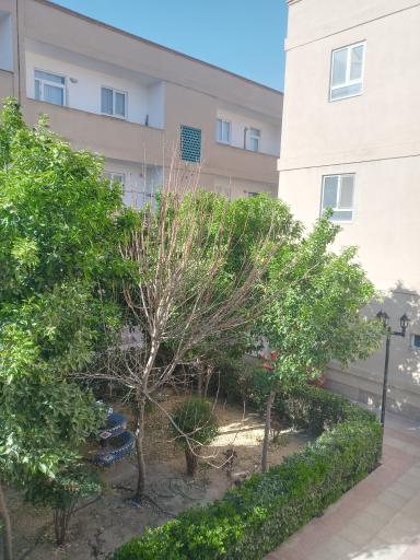 عکس آپارتمان ترنج