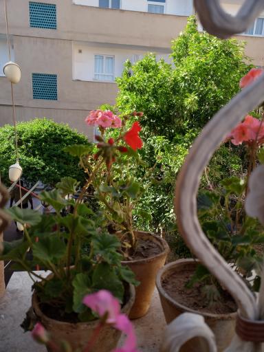 عکس آپارتمان ترنج