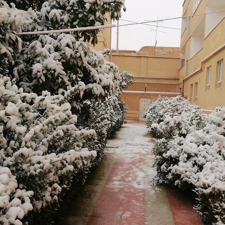 عکس آپارتمان ترنج