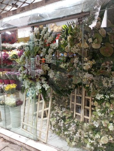 عکس گل سرای قدس