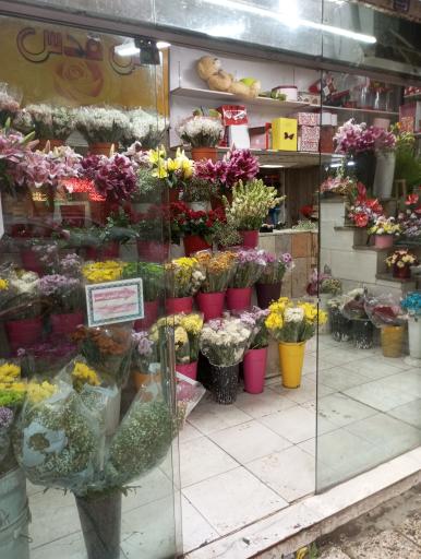 عکس گل سرای قدس