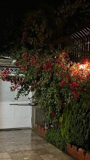 عکس اقامتگاه گردشگری امین آباد