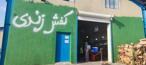 عکس کفش زندی