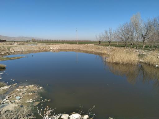 عکس برکه گلیجو