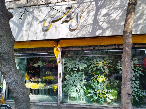 عکس گل سرای قدس