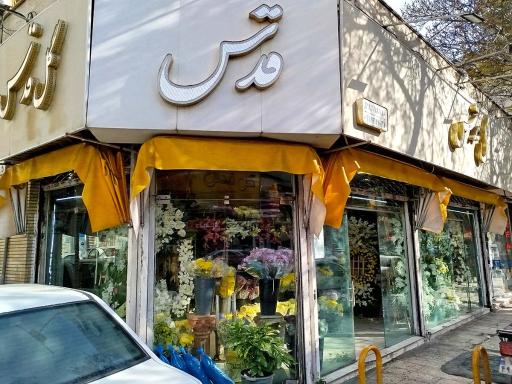 عکس گل سرای قدس