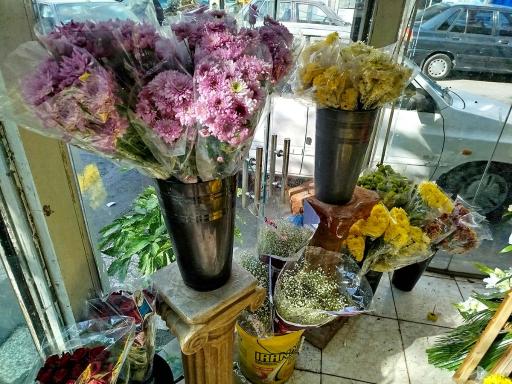 عکس گل سرای قدس