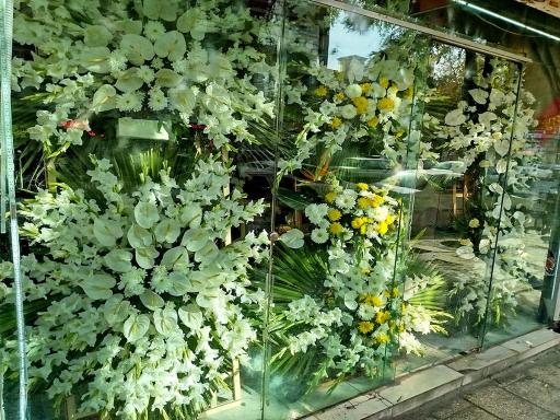 عکس گل سرای قدس