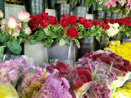 عکس گل سرای قدس