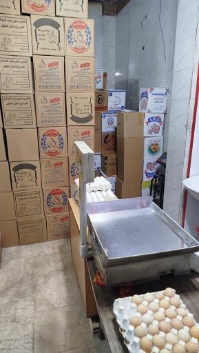 عکس مرکز پخش تخم مرغ بلدرچین و کبک ابریشم