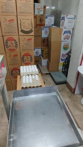 عکس مرکز پخش تخم مرغ بلدرچین و کبک ابریشم