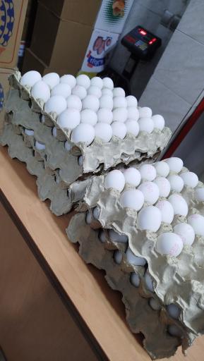 عکس مرکز پخش تخم مرغ بلدرچین و کبک ابریشم