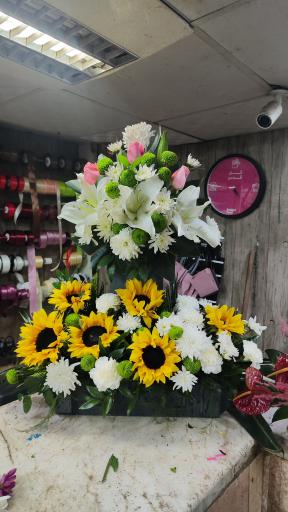 عکس گل سرای قدس