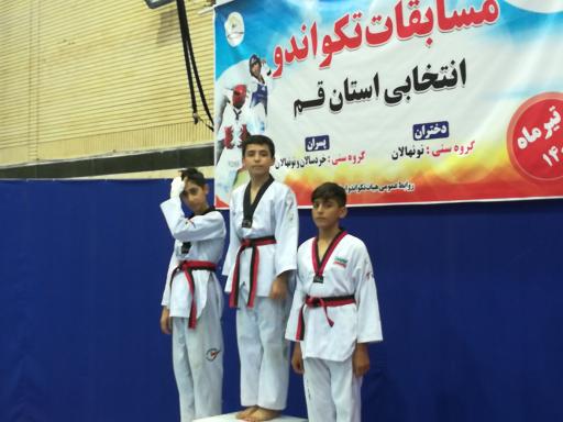 عکس خانه تکواندو